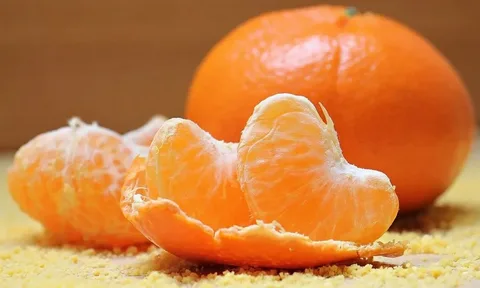 Μπορούν οι γάτες να φάνε φλούδα πορτοκαλιού