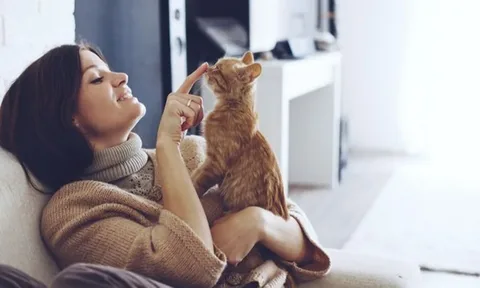 Happy Whiskers: Κρατώντας τη γάτα σας υγιή